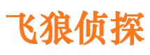 城中市私家侦探